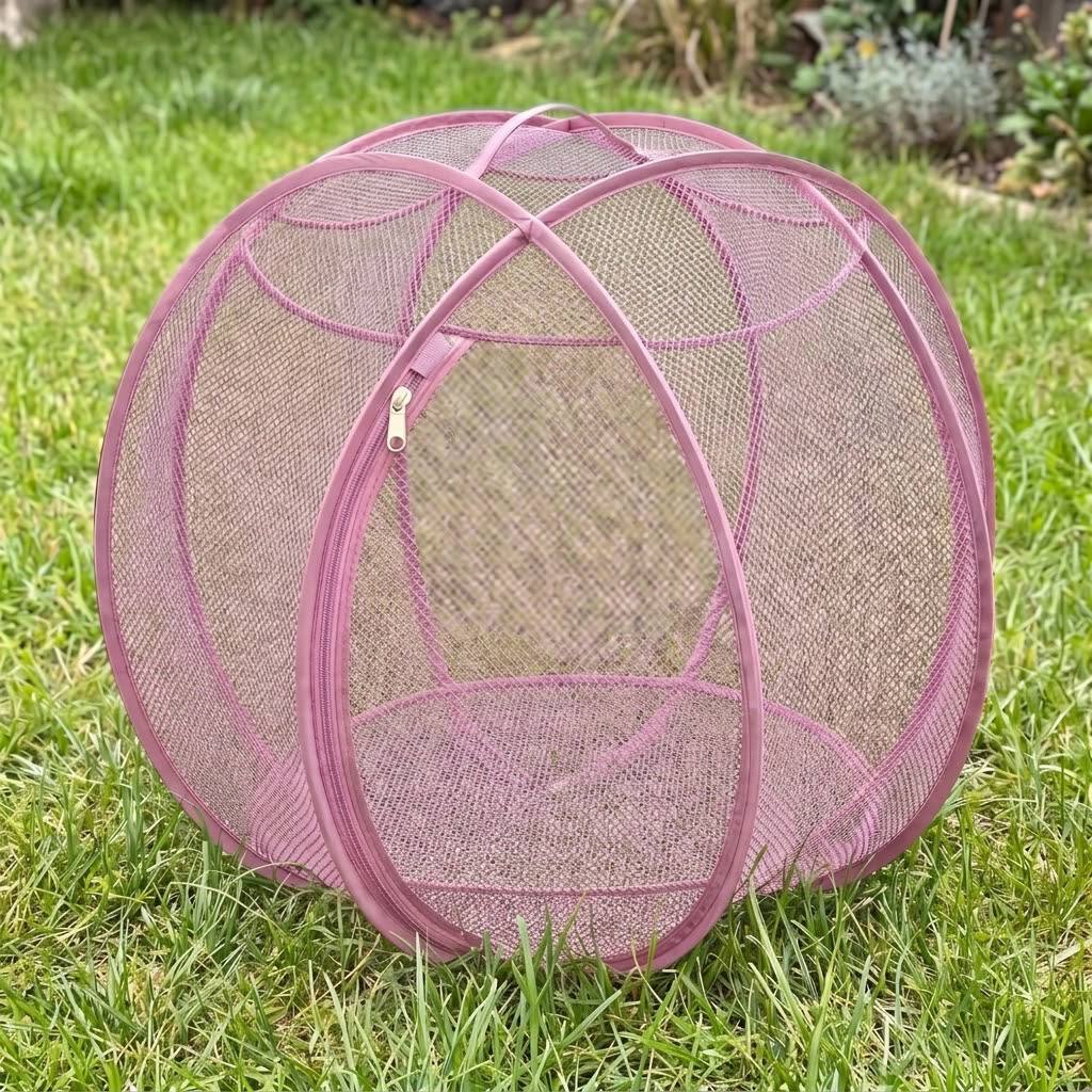 Pawtide™ Corral Explorador para Gatos