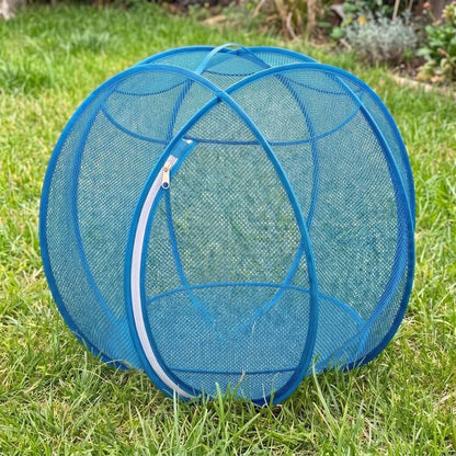 Pawtide™ Corral Explorador para Gatos